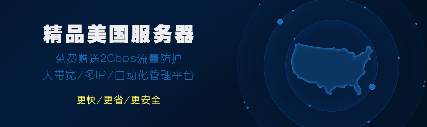国外美国服务器租用价格表